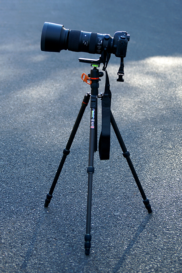 Sigma 60-600mm f/4.5-6.3 DG OS HSM Sports Zoom Lens Review Sigma 60-600mm f/4.5-6.3 DG OS HSM Sports Zoom Lens Review